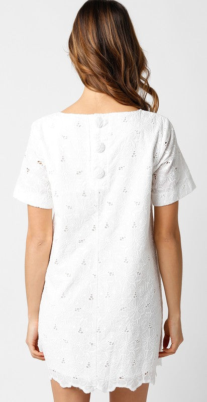 Eyelet Short Sleeve Shift Dress – Evelyn Rose Boutique