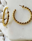 Twisted Gold Hoop Earrings